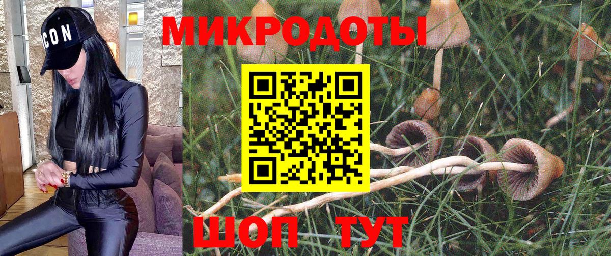Псилоцибиновые грибы GOLDEN TEACHER Полысаево
