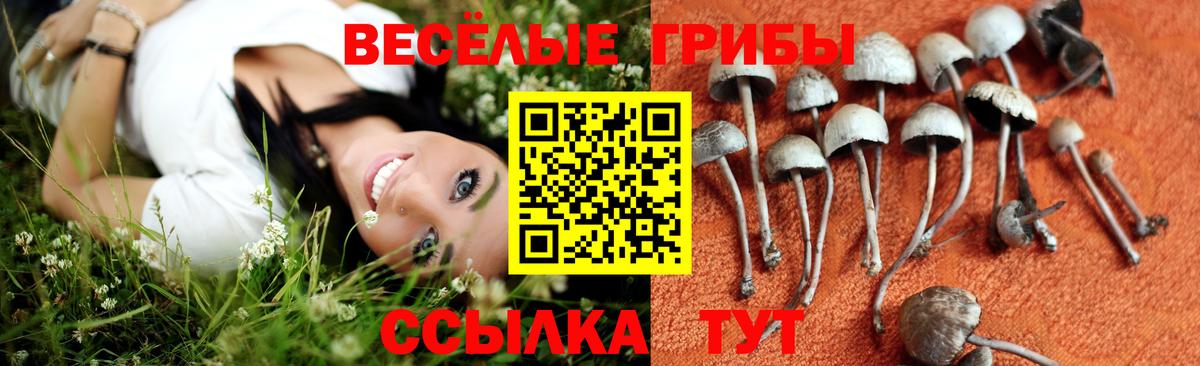 Полысаево  Псилоцибиновые грибы мухоморы  Вход с VPN  Галлюциногенные грибы ЛСД 