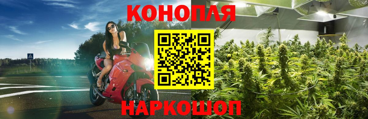 Полысаево  Бошки марихуана план  Вход с VPN  Каннабис Bruce Banner  Канабис Bruce Banner 